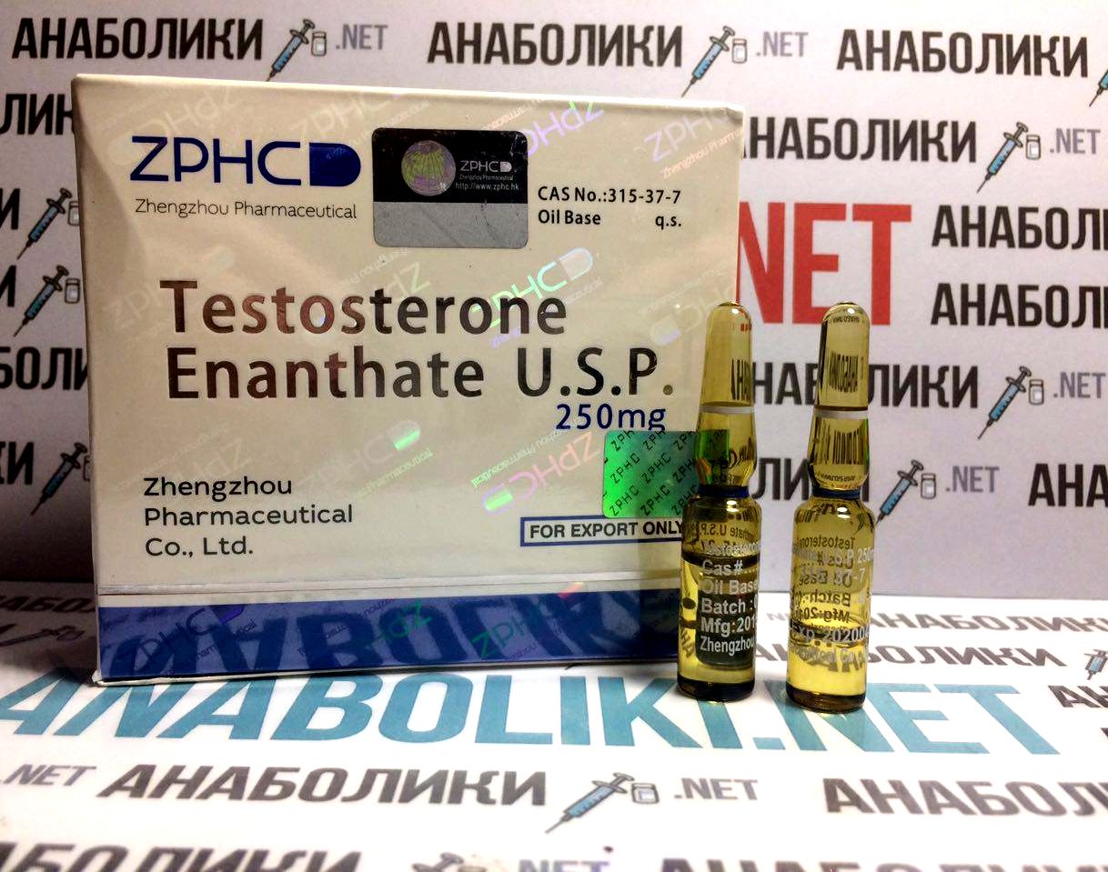 TESTOSTERON-E 10x1ml 250mg/ml ZPHC — изображение 3