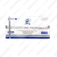 TESTOSTERON-P 10x1ml 100mg/ml ZPHC