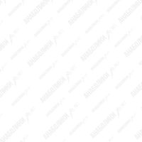 НАНДРОЛОНА ДЕКАНОАТ 10ml 200mg/ml ICE Pharmaceutical